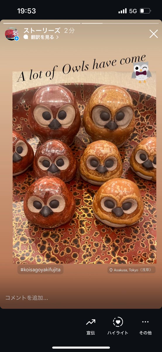 asakusautsuwa's tweet photo. お待たせしました♪
小砂焼ふくろう🦉、たくさん入荷してます✨金、茶、ピンク、かわいいです💕
#Asakusa器カフェシノワズリ #owle https://t.co/MAotftjdIA