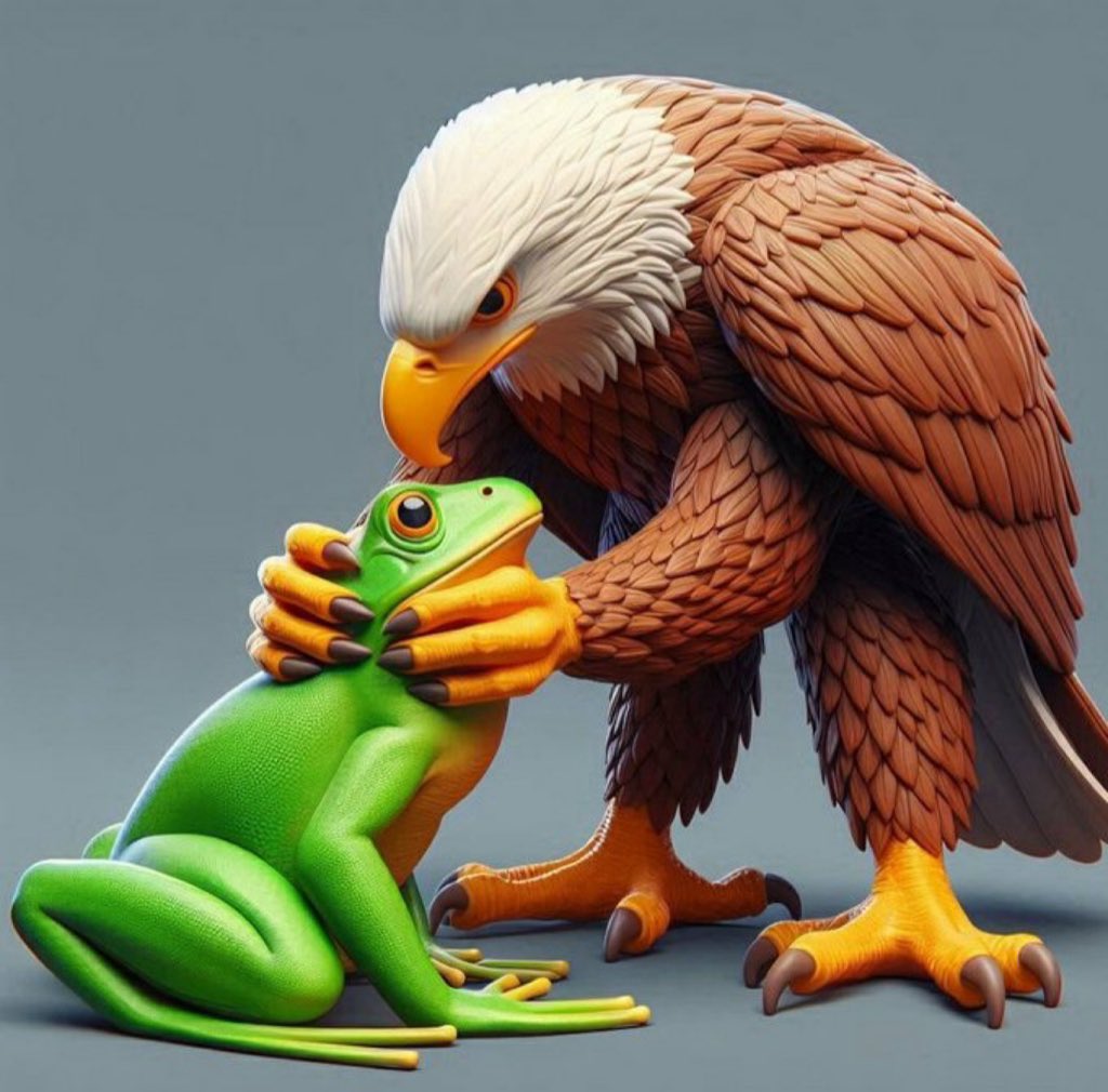 𝗕𝗔𝗥𝗡𝗬 𝗢 tweet media