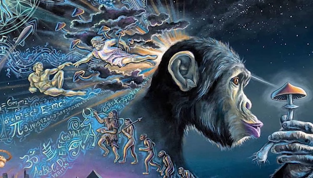 reyLiche's tweet image. J’ai tenté de faire un j avec une peau de banane hier #echec #tentative #Innovation