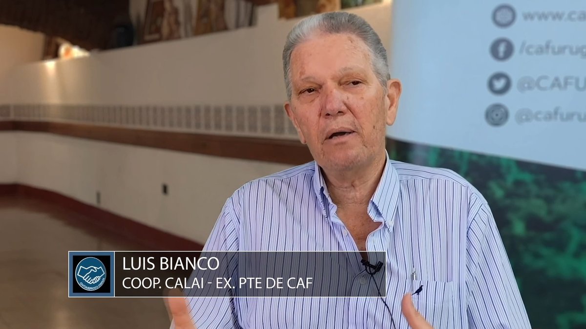 Hoy desde las 11.30 hrs. regresa Mundo Cooperativo a la pantalla de <a href="/canal10uruguay/">Canal 10</a> con toda la actualidad del sector y la Economía Social. Seguimos compartiendo historias de cooperativas; Luis Blanco, de <a href="/CALAI1965/">CALAI</a> nos invita a recorrer los 40 años de historia <a href="/CAFUruguay/">CAF</a>