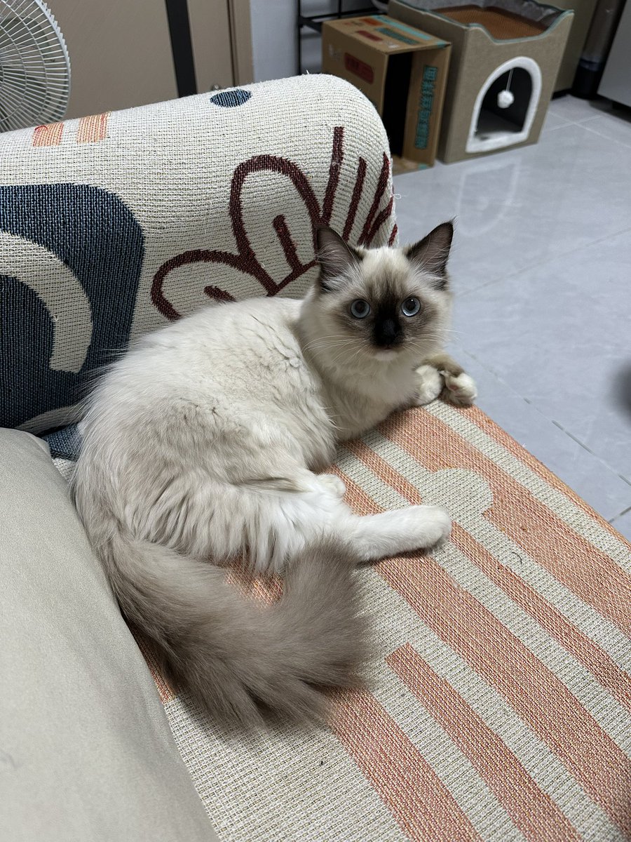 比想象的快上不少