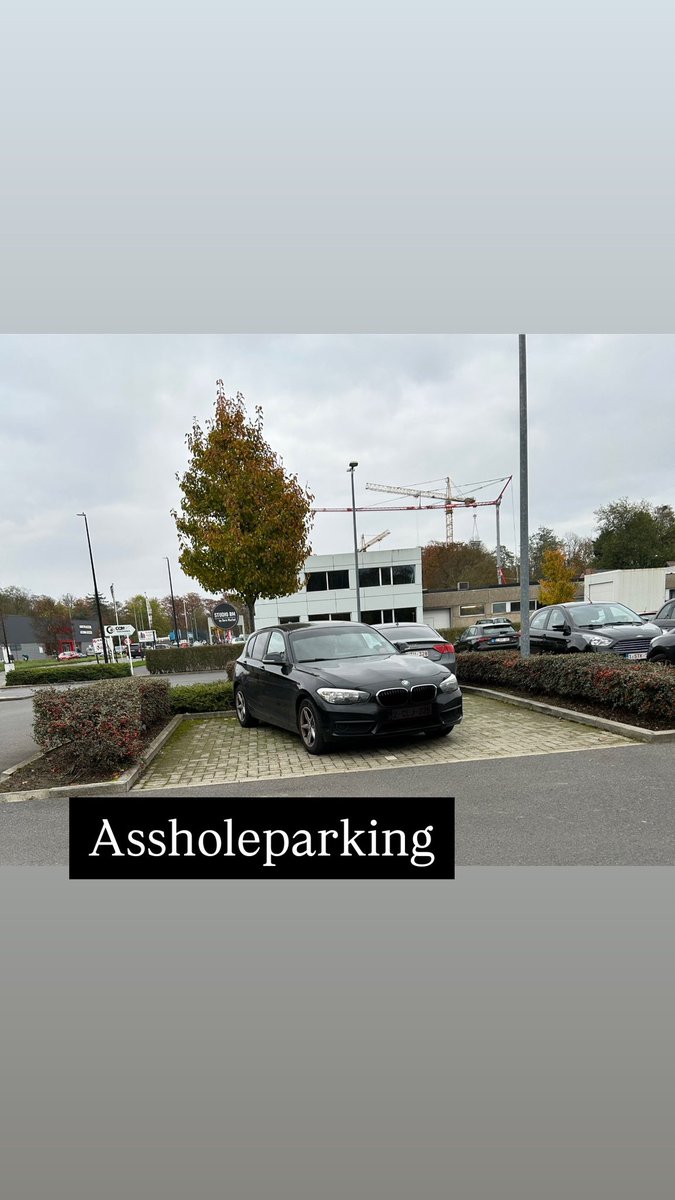 Ravenbelle 🏳️‍🌈|🧚🏻‍♀️🦋🌼 (@tinkerbellxx12) on Twitter photo 