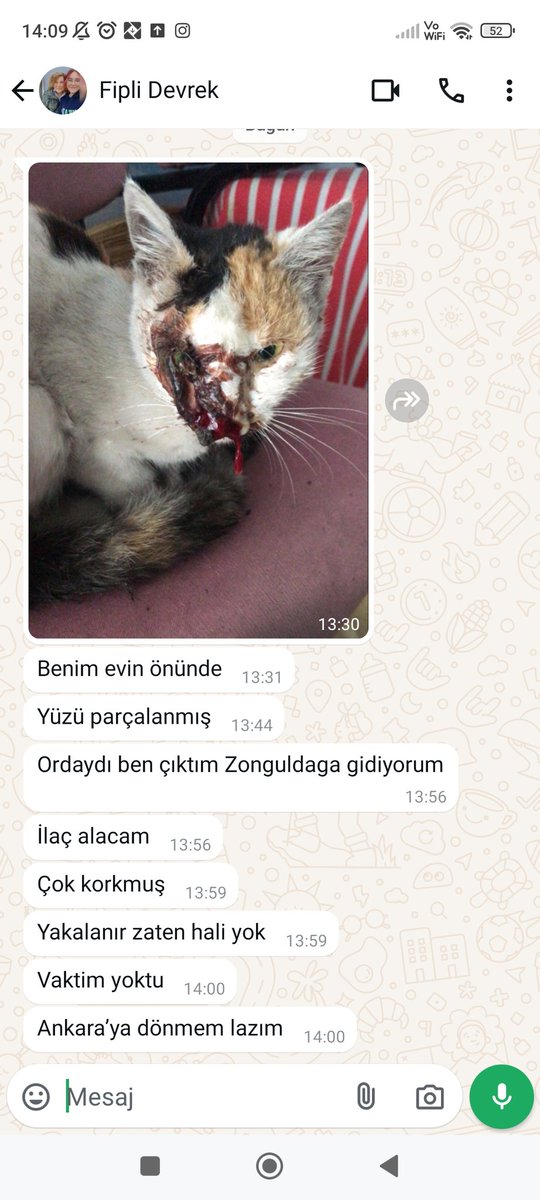 Eski borçlar için benden.
Bir dernek yada sponsor bulsak. 

Yada aldırın bende yardımcı olurum diyenler çıkar mı?
En büyük sorunlardsn biri de ilçede güvendiğim kapsamlı klink yok. Çoğu büyükbaşla ilgileniyor.Merkez sadece gidiş 1 saat.
Zonguldak Devrek 
0553-646-8440