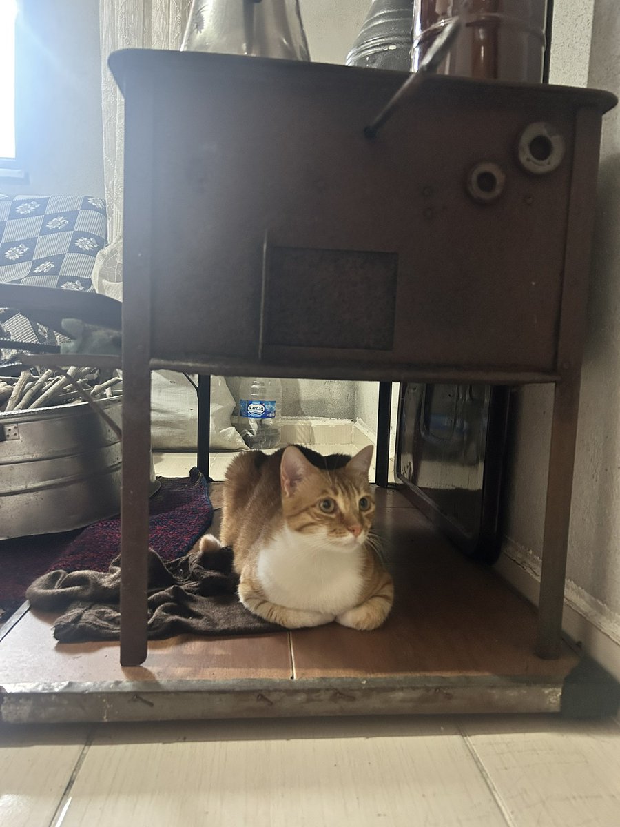 Bu sobaymış arkadaşlar ben de tanıştım🤗