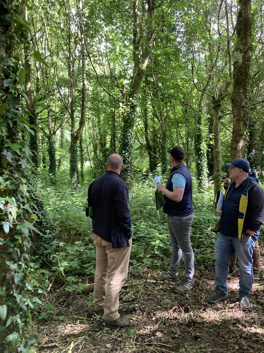 Dheeraj Singh Rathore tweet media