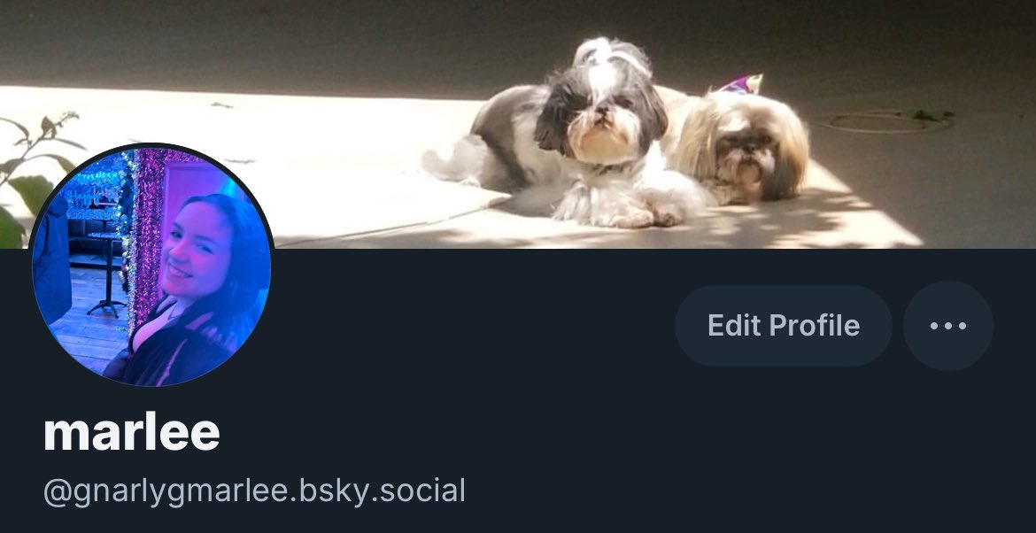 gnarlymarlee_'s tweet photo. on the other website now as gnarlygmarlee :^) https://t.co/Pim6jb7X2G