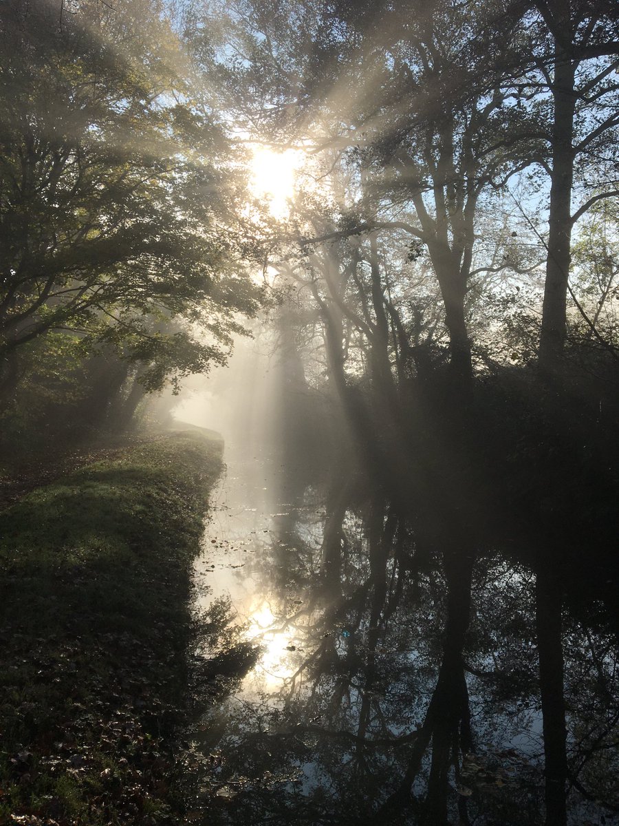 Beautiful cold &amp; misty morning on the Brecon &amp; Mon Canal ❤️🏴󠁧󠁢󠁷󠁬󠁳󠁿 In other news I’m now on #bluesky @seancarlsen.bsky.social if you love Time Lords &amp; hate fascism &amp; intolerance give me a follow there 💕