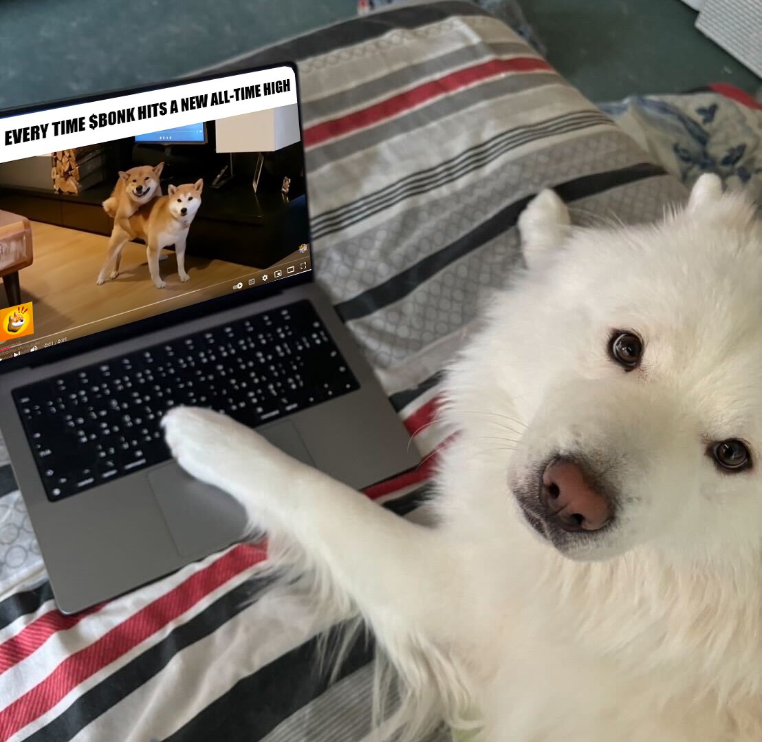 Jupiter caught orange handed celebrating $BONK at 3Billion. 🐶

#BONK #LetsBONK