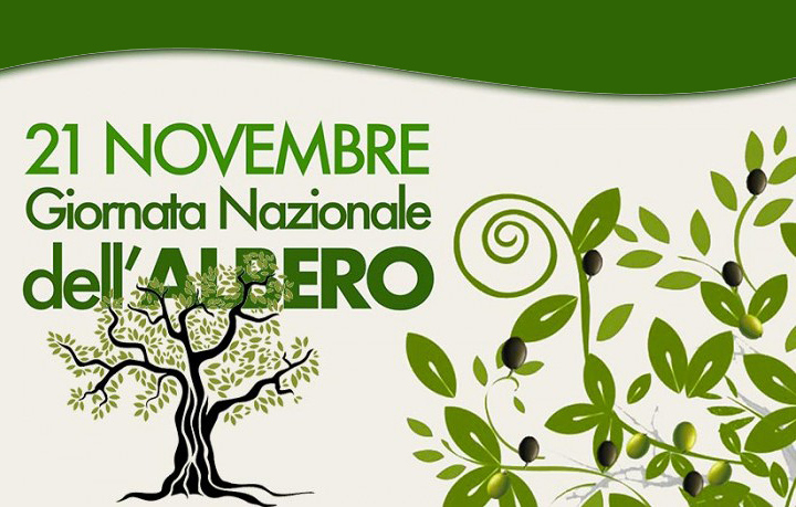 #Giornatanazionaledellalbero 21 novembre 
Un abbraccio agli amici alberi 😍😍😍😍