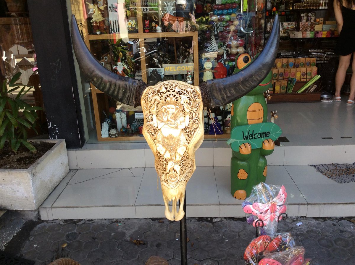 chootkapani's tweet image. cnn.com/2024/11/16/mid… someone is lying guess who? Iran USA #MiddleEastern #muddle needs to be #unmuddled. #art #bonecollector #bone #carving