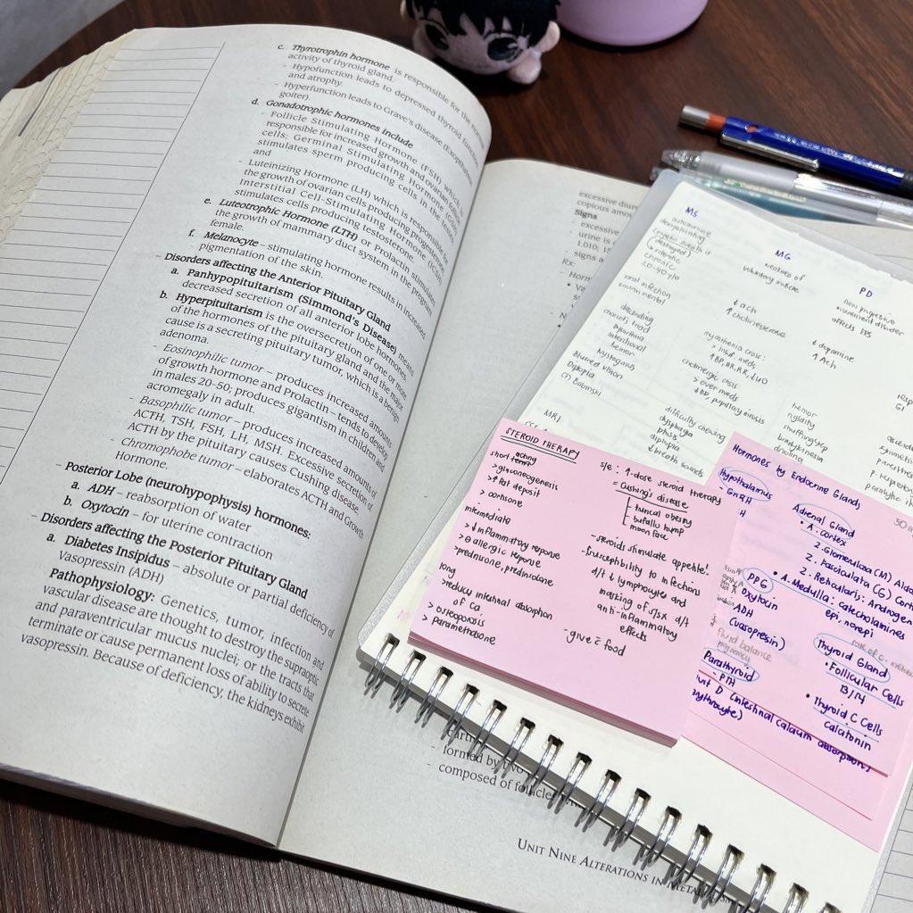 ꩜ .ᐟ tweet media