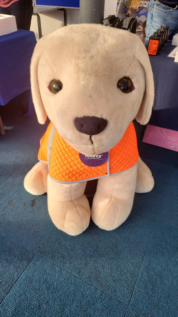 StemUlver's tweet image. Come on down to meet the Andrex Puppy!

⏰9:30am-4pm