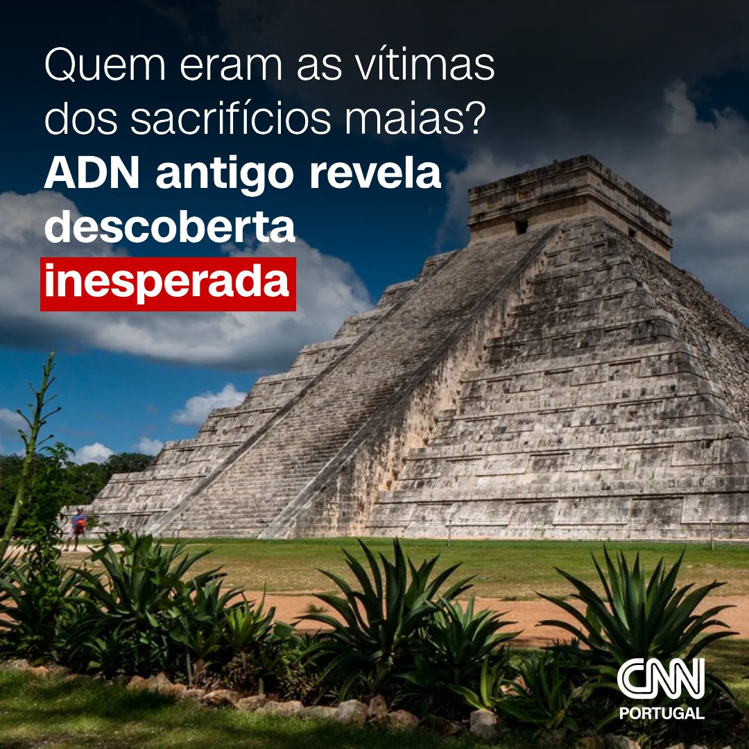 cnnportugal's tweet image. A antiga cidade maia de Chichén Itzá, há muito que é associada a sacrifícios humanos, com centenas de ossos desenterrados de templos, de um poço sagrado e de outras grutas subterrâneas.

Saiba mais: swki.me/7WfmuAvM

#descoberta #maias #yucatán