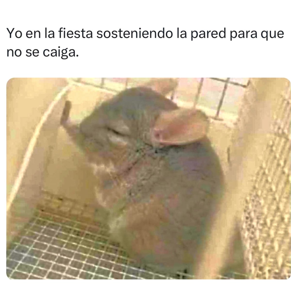 Yavi (@yavi1992) on Twitter photo 