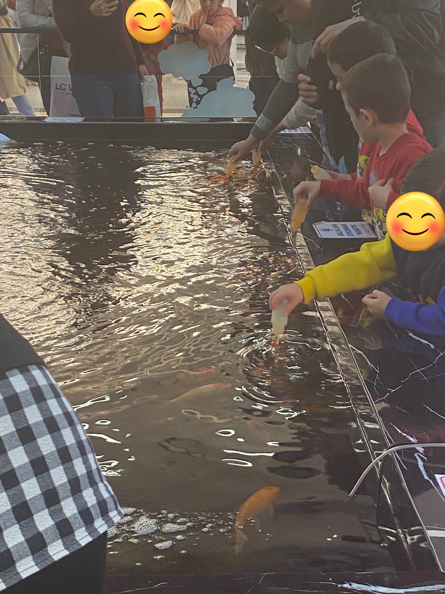 mimicim06's tweet photo. Ankara/Ankamall isimli alışveriş merkezinin -1. Katında ‘Baby Fish’ adında nereden ne ruhsatı aldığı meçhul bir işletme açılmış. Söz konusu yerde koskocaman dibi kirden pislikten görünmeyen bir havuz ve içinde de süs balıkları var. Önüne kocaman: ‘Biberonla balık beslemek ister misiniz?’ yazmışlar. Balıklar sürekli beslendikleri için muhtemelen ölüyorlar ve yerlerine yeni balıklar konuyor yeniden. Konuyla ilgili @TCTarim ‘ı defalarca aradım ancak açan olmadı. Konuyu CİMER’e de taşıyacağım. Bu konuyla alakalı kamuoyu oluşturmak adına RT desteğinizi istiyorum 🙏🏼
