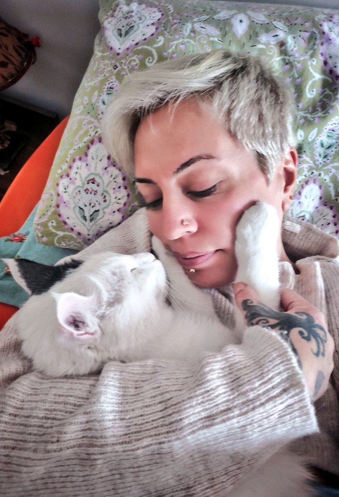 hayaxcig's tweet photo. Güzellik uykusundayız, uyandırma 🥰 #BulutBey 🐾 https://t.co/bWQuRZj9hb