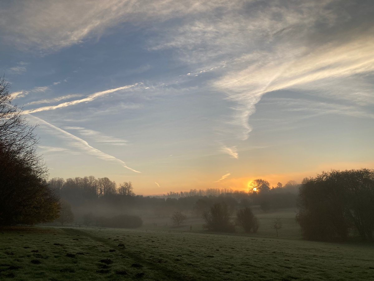 YorksArboretum's tweet photo. The arboretum still looking amazing  #Yorksarboretum  #YorkshireNature #NatureWalks https://t.co/cGCDaHCp7q