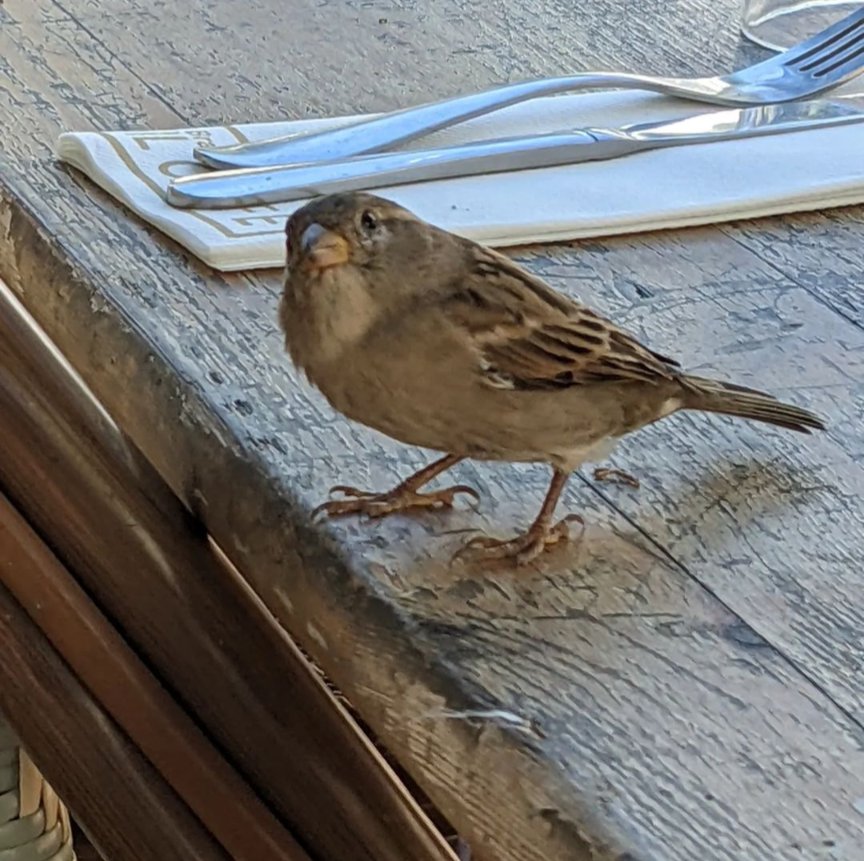 HelpAnimals25's tweet image. Is it dinner time yet?

#follow us, share what we do and help us #helpanimals