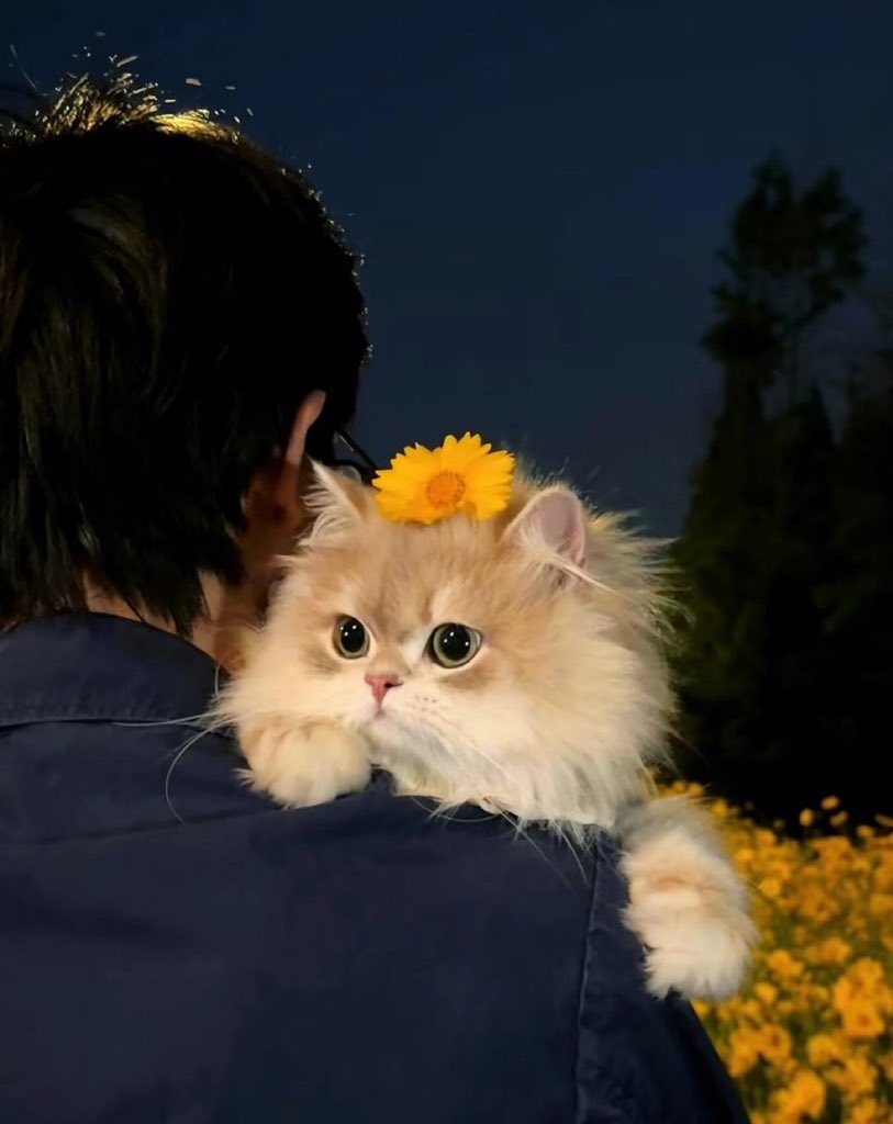 wo🍞nini tweet media