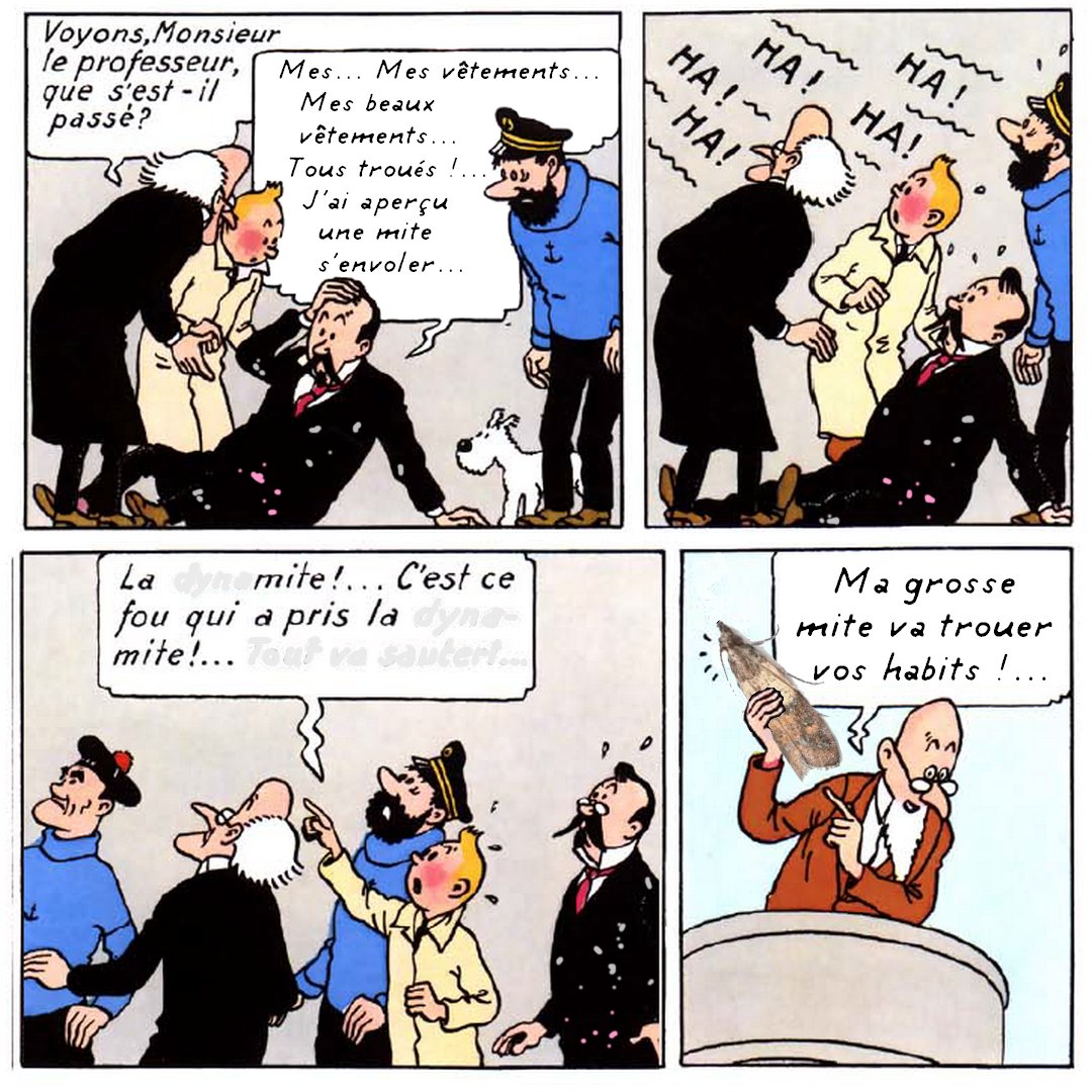 Debilotnik's tweet image. 