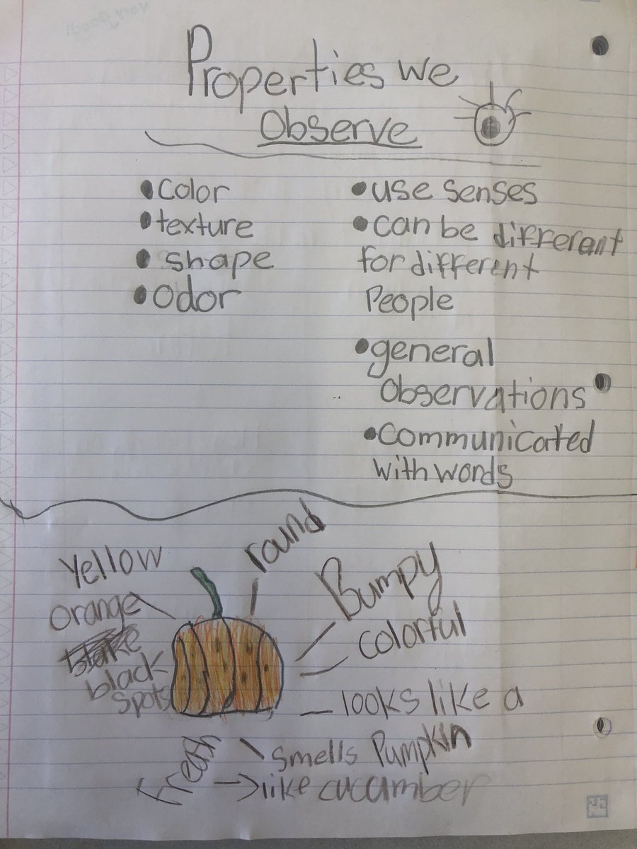 Meri Beth Weber (@mbweber23) on Twitter photo While learning about properties of matter, students tried our first lemon cucumber from the <a href="/SchwarzkopfElem/">Schwarzkopf Elem</a> garden! <a href="/WeAreHAEST/">HAEST</a> <a href="/HCPSElemScience/">HCPSElemScience</a> <a href="/FAITC/">Ag in the Classroom</a> <a href="/freshfromFL/">Fresh From Florida</a> While learning about properties of matter, students tried our first lemon cucumber from the <a href="/SchwarzkopfElem/">Schwarzkopf Elem</a> garden! <a href="/WeAreHAEST/">HAEST</a> <a href="/HCPSElemScience/">HCPSElemScience</a> <a href="/FAITC/">Ag in the Classroom</a> <a href="/freshfromFL/">Fresh From Florida</a>