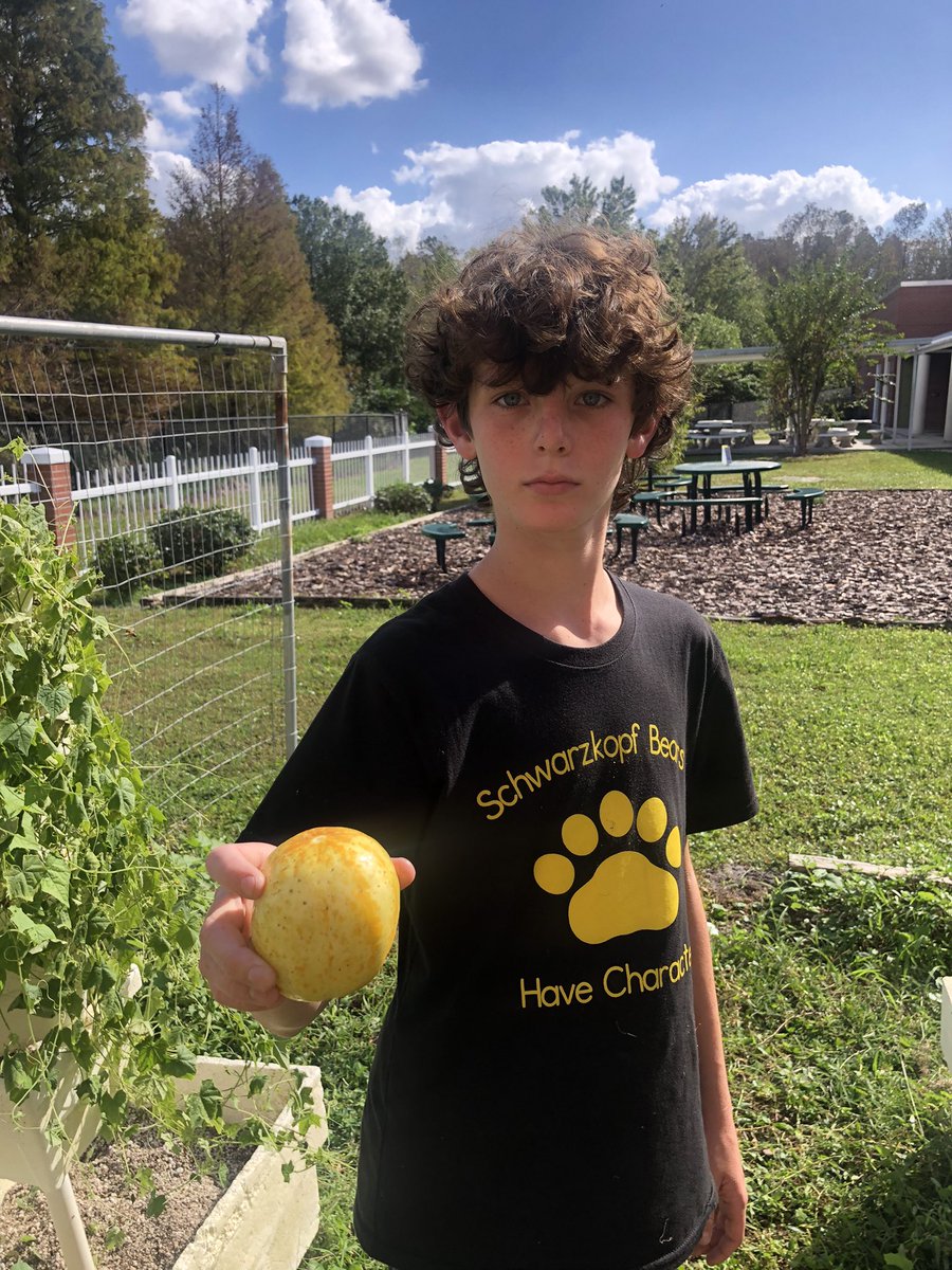 Meri Beth Weber tweet media