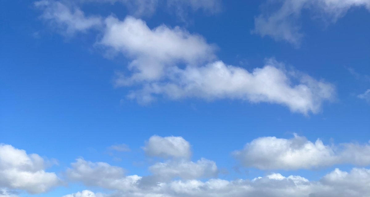 Bev Thomas tweet media