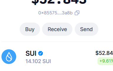 mlissa1919's tweet photo. @suiet_wallet @TypusFinance 0x85575220bb5211ebfe65dbb4aab0349465cd7913e261b137dc64ac9a27553a8b https://t.co/1RKAehRhlB