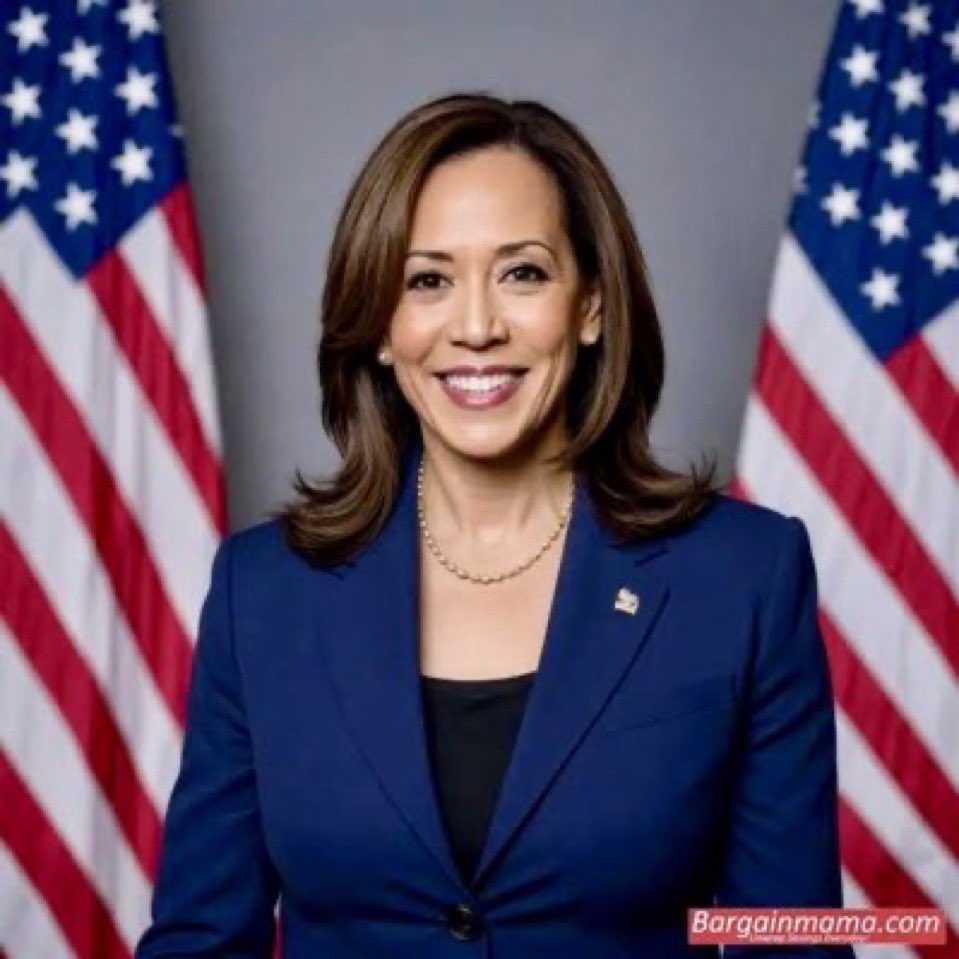 Kamala Harris ran a great campaign in a short time

We're proud of VP Harris

Drop a 💙 if you agree
