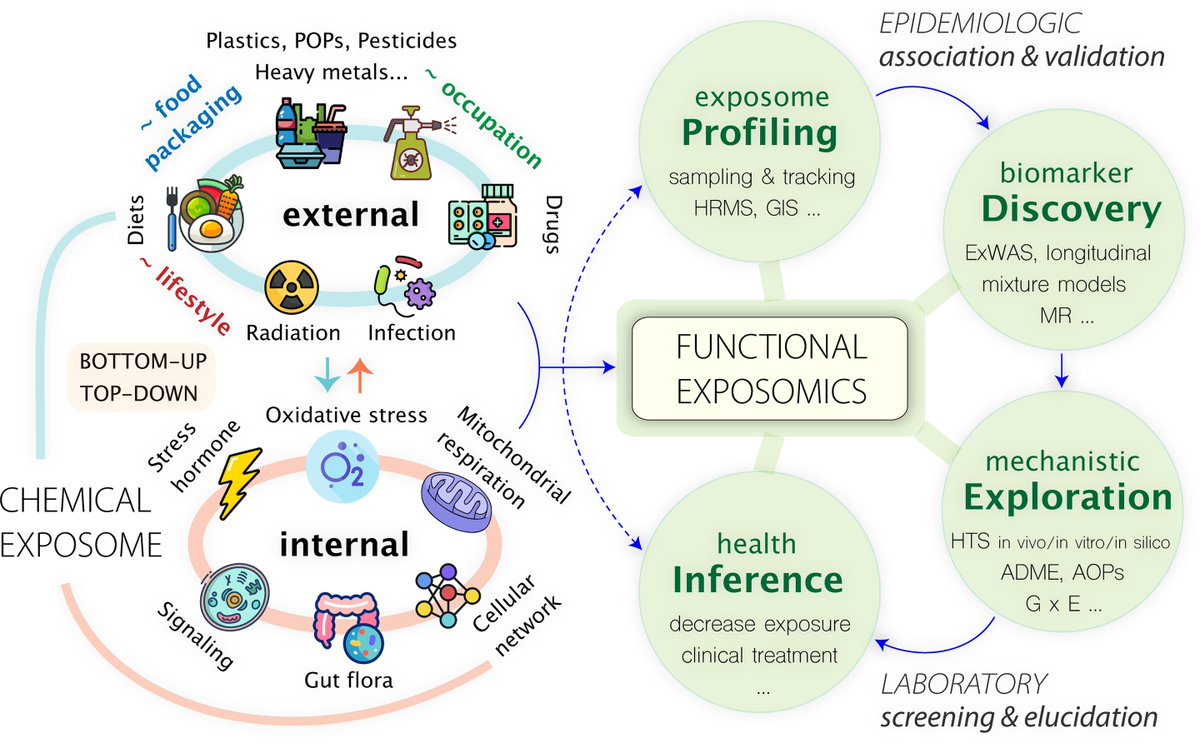 Have you just finished your PhD and are you looking for a Post Doc position in the field of cell biology (iPS-organoids)? Would you like to study the effect of the exposome on mitochondria and epigenetics? Then apply here:
unimi.it/it/ricerca/ric…
