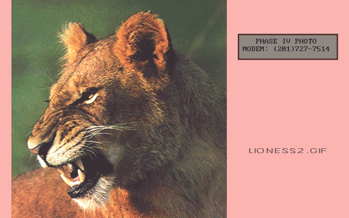 MAMMALS/LIONESS2.GIF