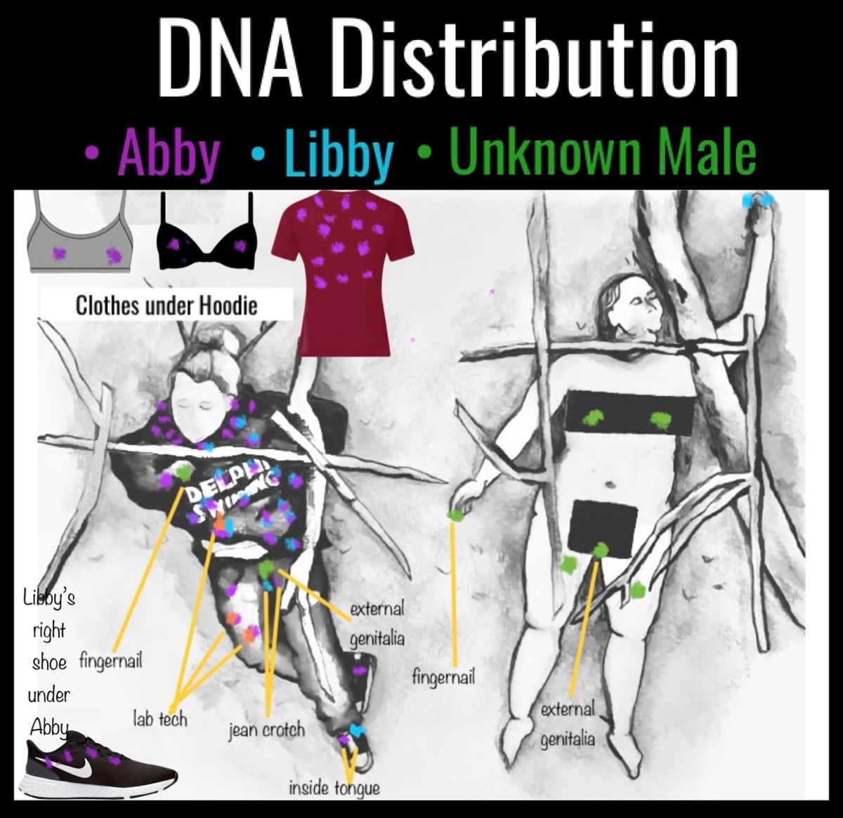 deblanc_jenna's tweet image. Visual of the DNA found at the crime scene & creek… This one does not include hair-only swab findings.
Abby=purple
Libby=blue
Unknown male=green
Lab tech=orange
Most of the DNA from the unknown male(s) is on Libby. 😔
#Delphi
#DelphiTrial