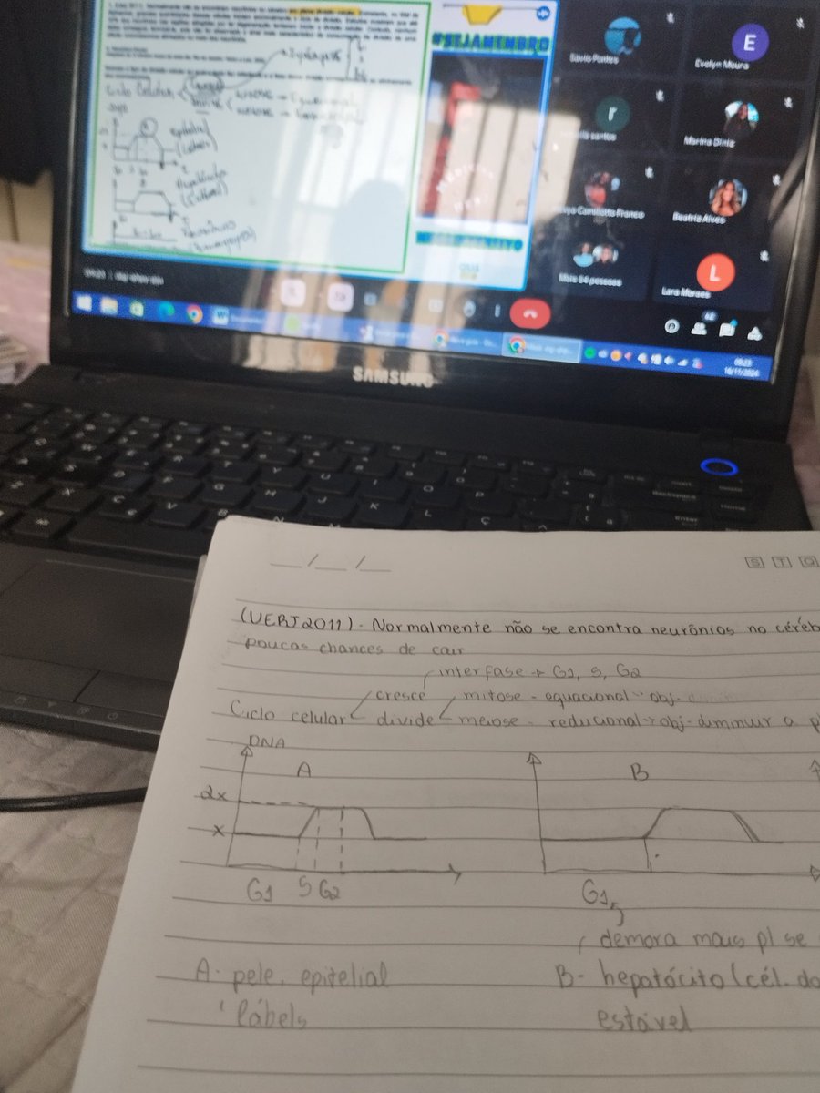 studcatt's tweet image. bom dia né