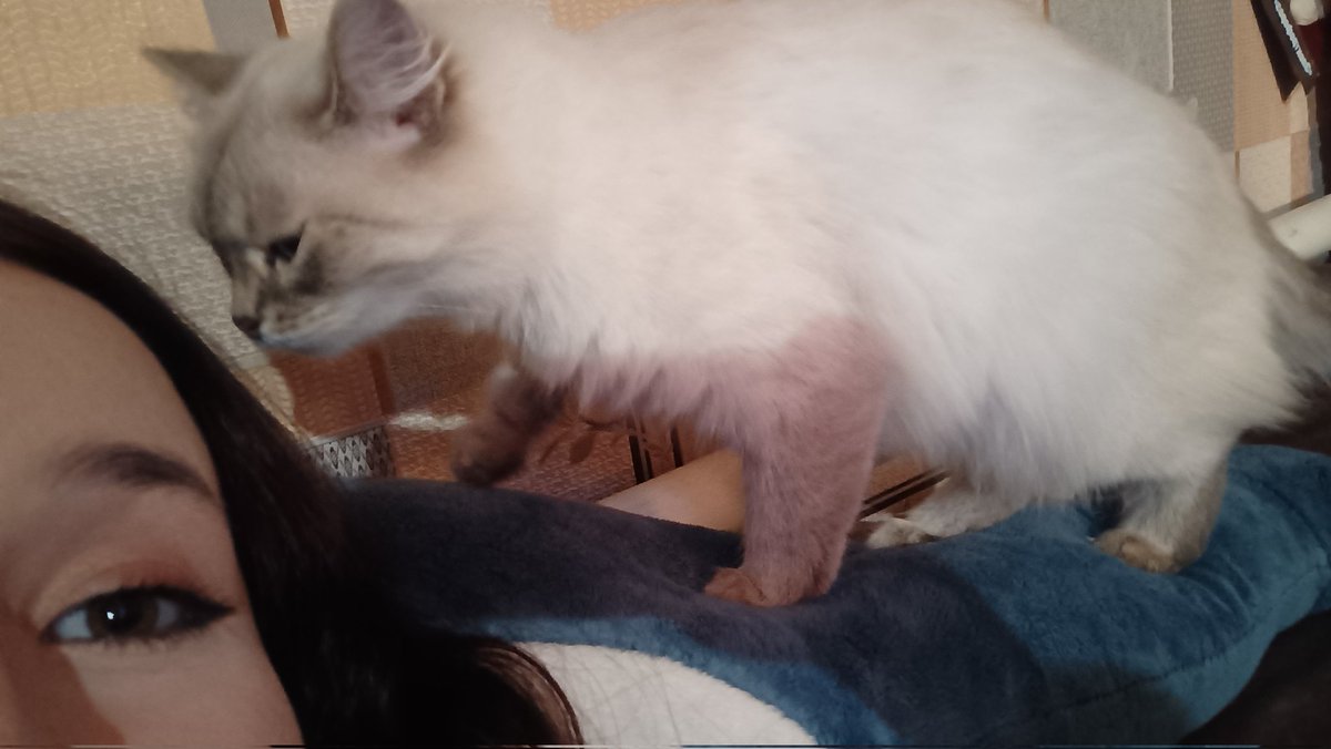 такие мы с ней🐱🐱🐱
