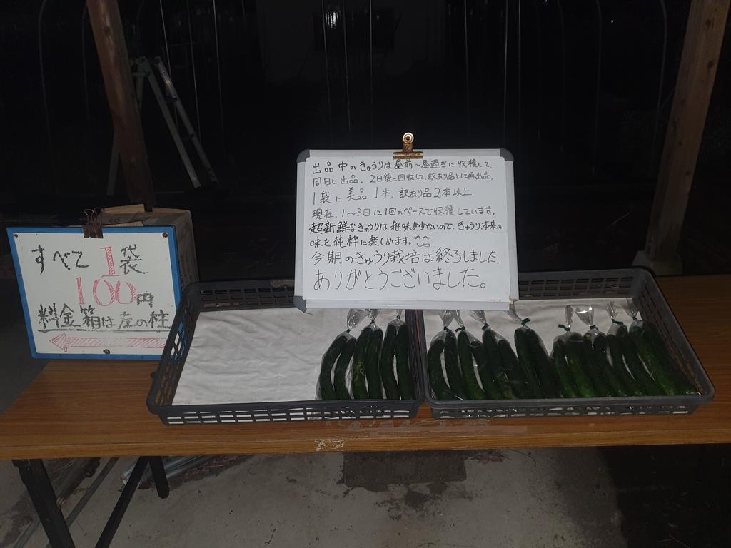 Matthew_22_39's tweet photo. いつもお買い求めいただきありがとうございます😊
遅くなりましたが、本日収穫分11袋を出品いたしました。
今町の畑で栽培、収穫したきゅうりの出品は今日で最後です。
今後はひょっとしたら、他農家さんのきゅうりを仕入れて出品するかもしれません。
自家製きゅうりの出品は来年初夏の予定です。 https://t.co/IuUVbFJPIo