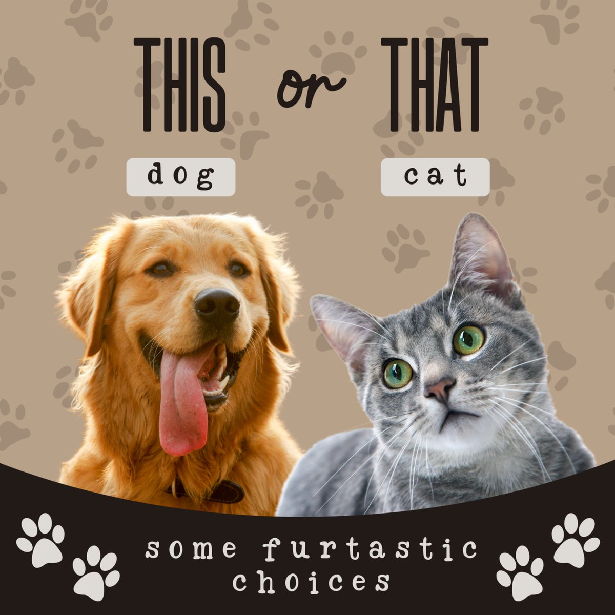 chickaadeechick's tweet photo. Which furtastic choice would you pick? https://t.co/eWPHBrSuSw
