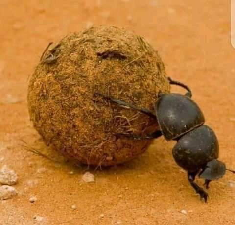 Kwanza hiyo tabia ya kutaka watu wakuonee huruma achana nayo kabisa kwasababu kila binadamu hujijali yeye mwenyewe kisha ndio hutizama mwengine.

Dunia haiwathamini kabisa watu wenye kulaumu laumu wenzao au mamlaka. Fanya kwa upande wako sio lazima usaidiwe kufanya. Kwenye maisha