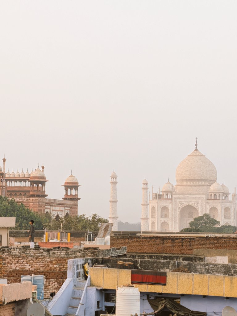 アラジン、たいあり