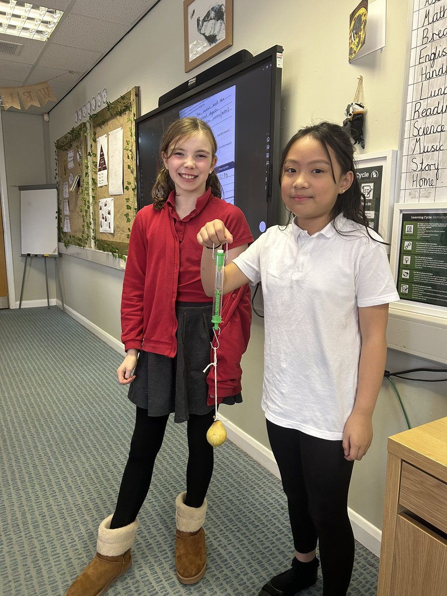 This term, forces is our science topic, and this week we looked at the question, What is gravity? We measured the weight of several items in the classroom using a Newton meter!
