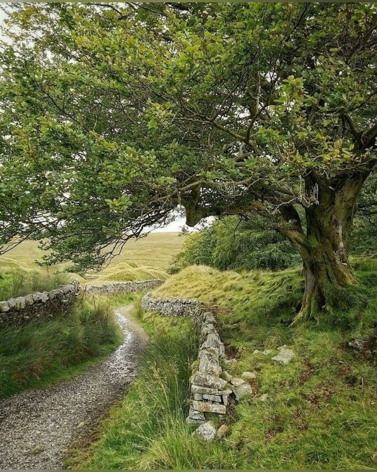 regencyspirit's tweet image. Walk together 🌱