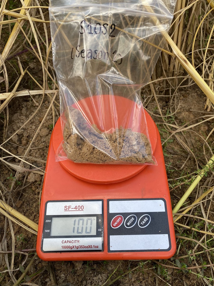 Vanina Guernier, PhD 🦠🧬 tweet media