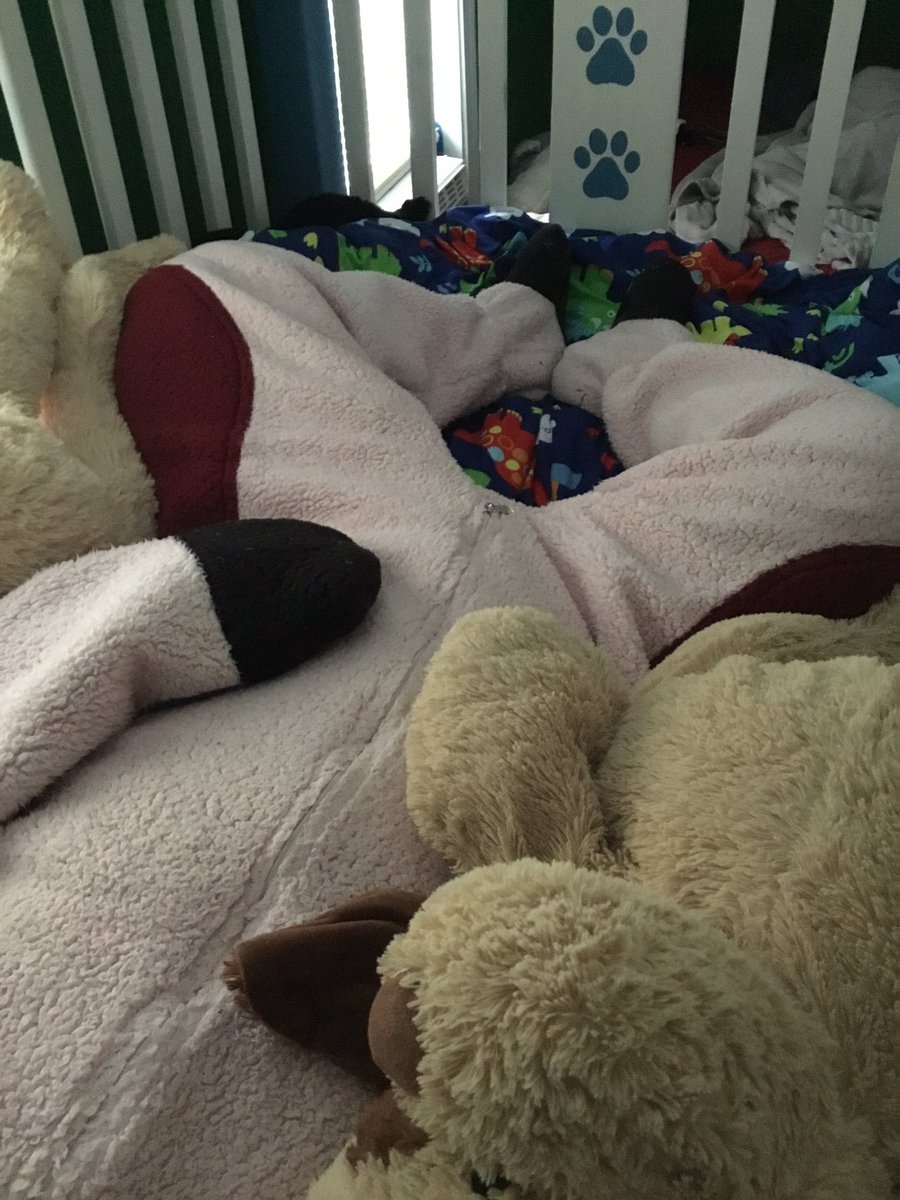 LittleRedAB's tweet image. Colder nights mean time for the thicker pjs. It was so cozy last night now some one let me out I want breakfast please 🥺