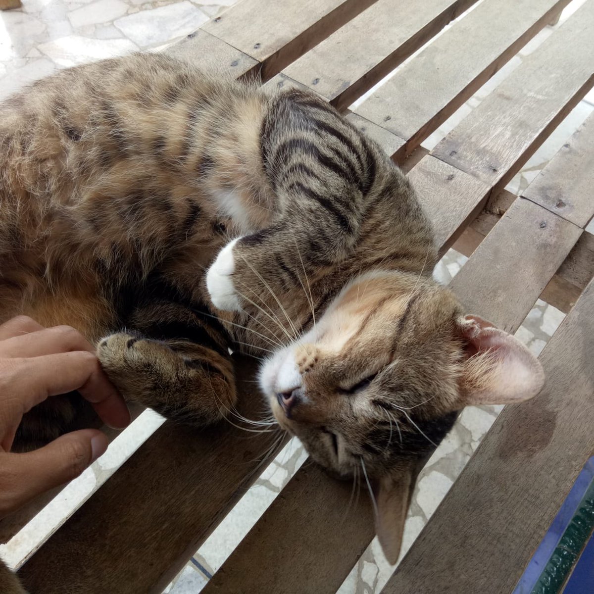ditaa_22's tweet photo. mohon maaf malam minggu~ https://t.co/1WEIM77P02