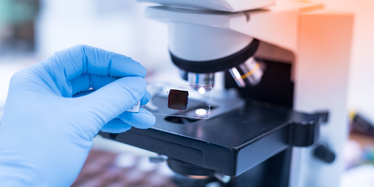Universität Bern (@unibern) on Twitter photo #Pathologie hat viele Facetten – die moderne #Gewebemedizin ist ein wichtiger Bestandteil. <a href="/AurelPerren/">Aurel Perren</a> spricht im Podcast über die spannende Arbeit des Instituts für Gewebemedizin und Pathologie der #unibern: sohub.io/p2jo.
<a href="/igmp_unibern/">Institute of Tissue Medicine and Pathology</a> #Pathologie hat viele Facetten – die moderne #Gewebemedizin ist ein wichtiger Bestandteil. <a href="/AurelPerren/">Aurel Perren</a> spricht im Podcast über die spannende Arbeit des Instituts für Gewebemedizin und Pathologie der #unibern: sohub.io/p2jo.
<a href="/igmp_unibern/">Institute of Tissue Medicine and Pathology</a>