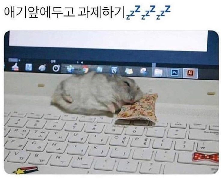 TweetsOfHamster's tweet photo. https://t.co/uhrz49IAzk