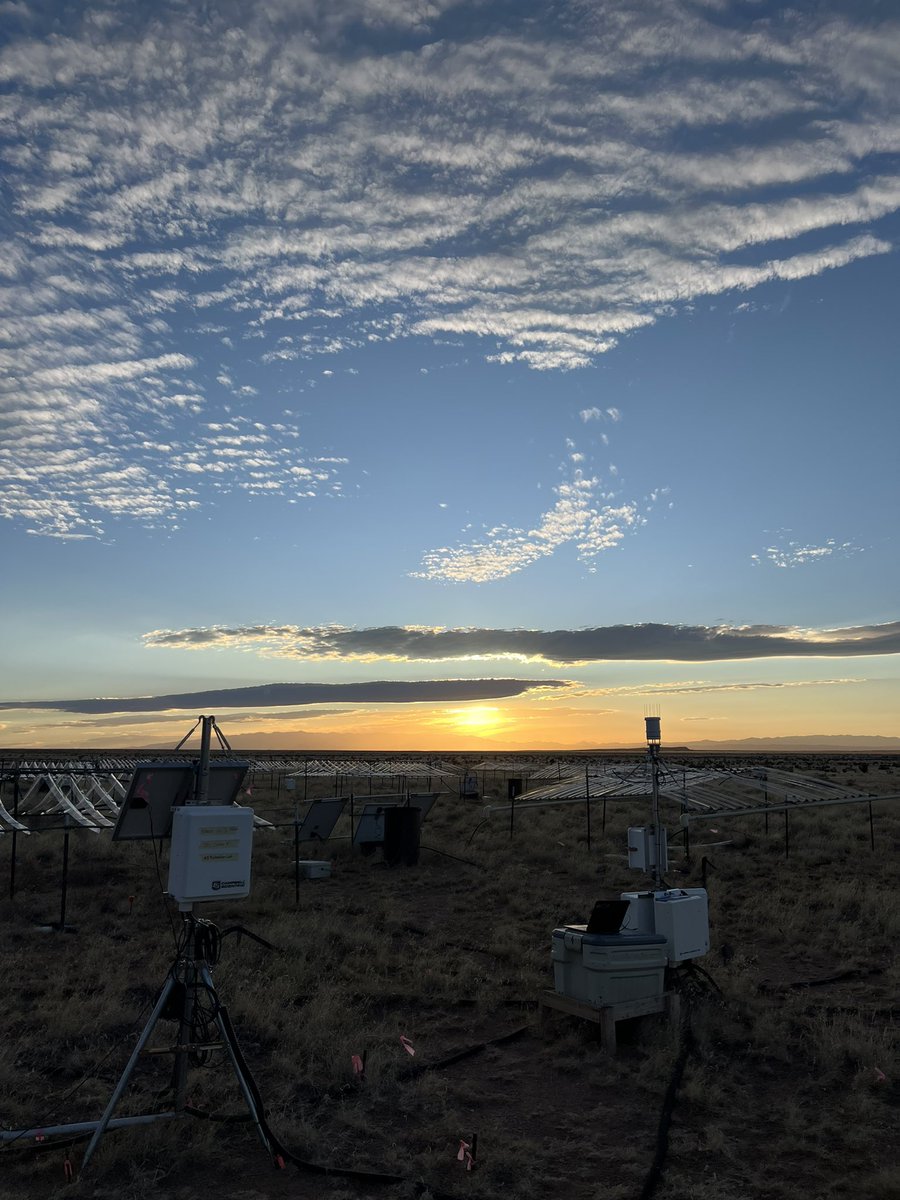 jacobjblais's tweet image. A jam-packed couple days of fieldwork @SEVLTER and what a beauty it’s been. If you ever find yourself looking for a camping spot in central New Mexico, San Lorenzo Canyon is top notch! Time for a post-predawn Fv/Fm collection nap.
