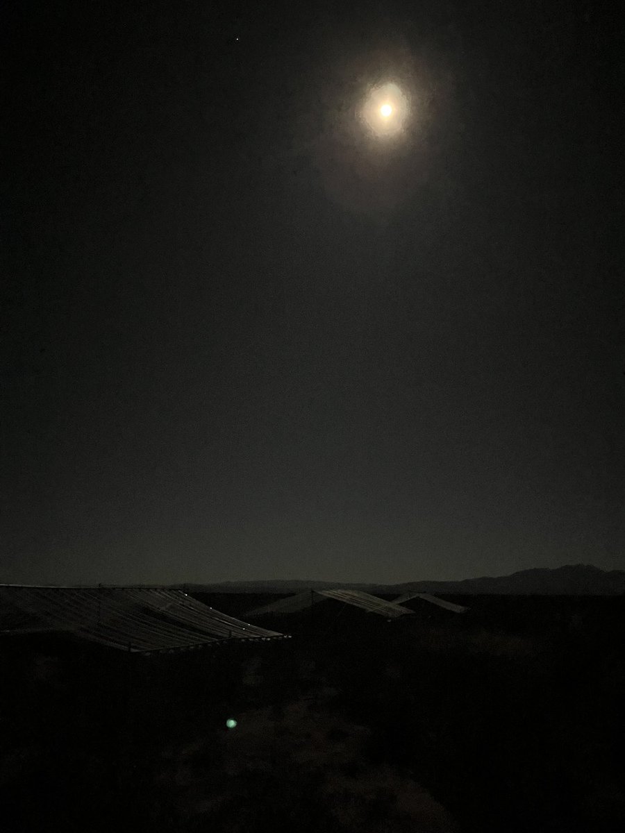 jacobjblais's tweet image. A jam-packed couple days of fieldwork @SEVLTER and what a beauty it’s been. If you ever find yourself looking for a camping spot in central New Mexico, San Lorenzo Canyon is top notch! Time for a post-predawn Fv/Fm collection nap.