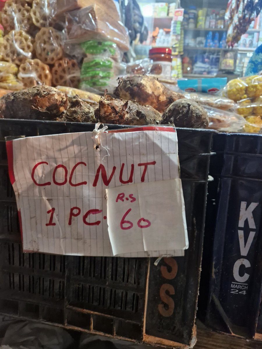 ad_itish45's tweet photo. #Cocnut https://t.co/XzqT9PxEC0