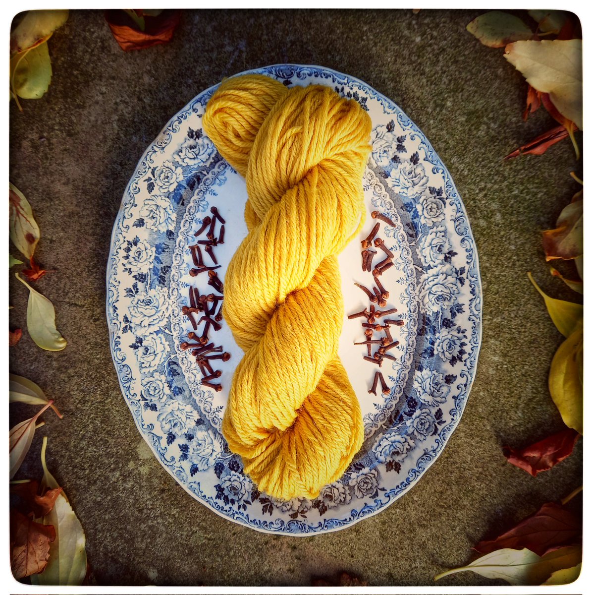 Joy 🍄 tweet media