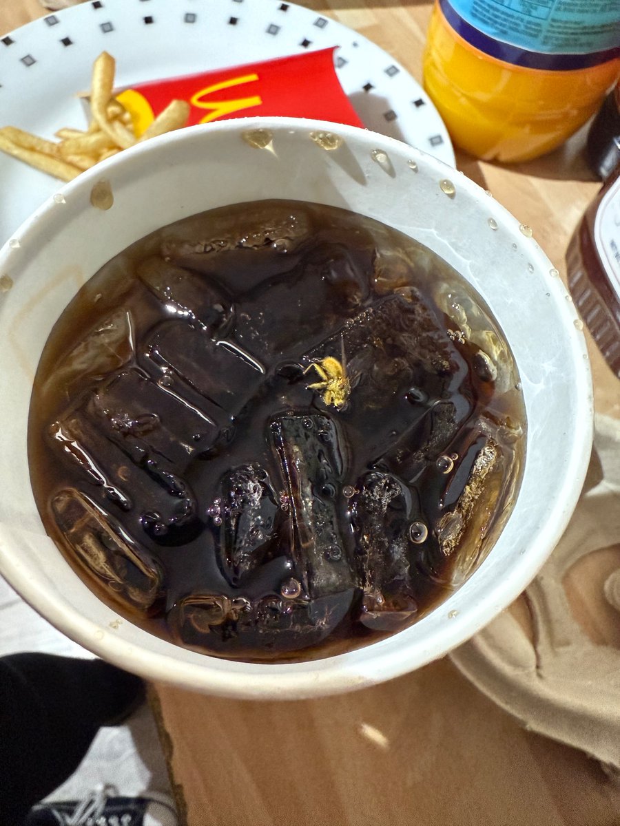 ChelleyRox's tweet photo. @McDonaldsUK ordered in, they forgot 2 fries, 2 drinks and apple pie and McFlurry from our order after saying 4 times we are missing food, got our drinks there was a orange bug inside one of them that’s gone to waste no idea what creature it is so not drinking it. https://t.co/vizV7yDwPN